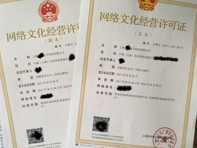 上海網(wǎng)絡文化經(jīng)營許可證辦理全攻略 條件、流程與注意事項